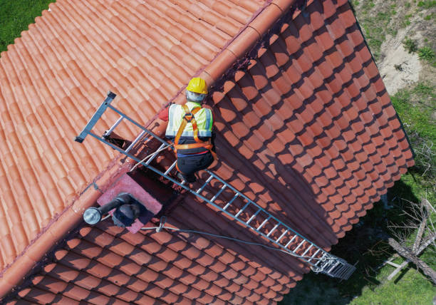 Roof Moss and Algae Removal in Fostoria, OH