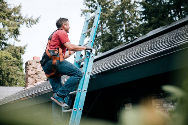 Best Roof Maintenance and Cleaning  in Fostoria, OH